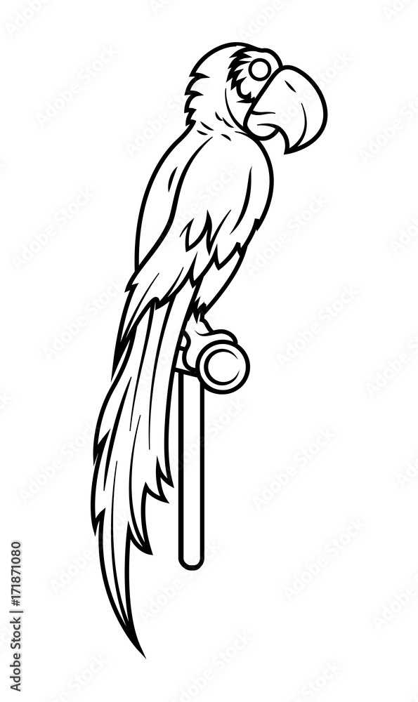 Macaw Drawing Vector - vector illustration Macaw Drawing Vector - vector illustration