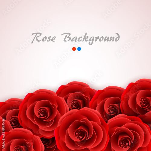 Red roses background. Rose cover for wedding invitation, postcard, greeting card or valentine day banner. Flower and romantic motive backdrop.