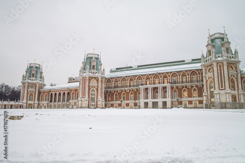 Tsaritsuno palace winter view, Moscow, Russia