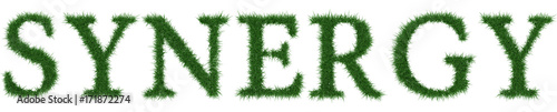 Synergy - 3D rendering fresh Grass letters isolated on whhite background.