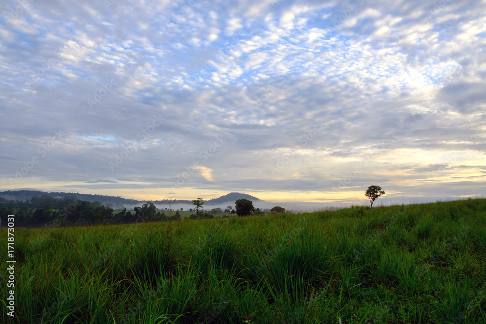 Landscape morning sunrise at Thung Salang Luang National Park Phetchabun,Tung slang luang is Grassland savannah in Thailand