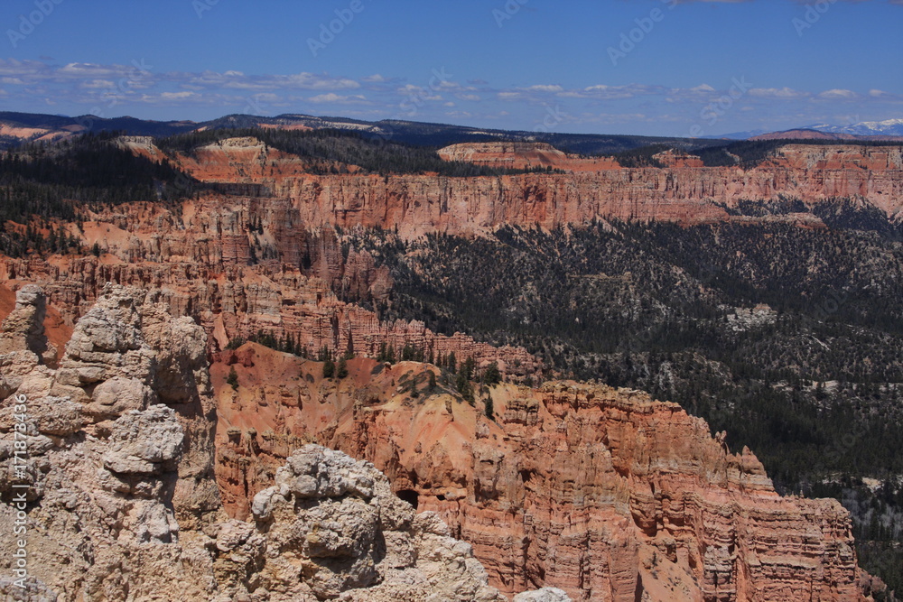 canyon views