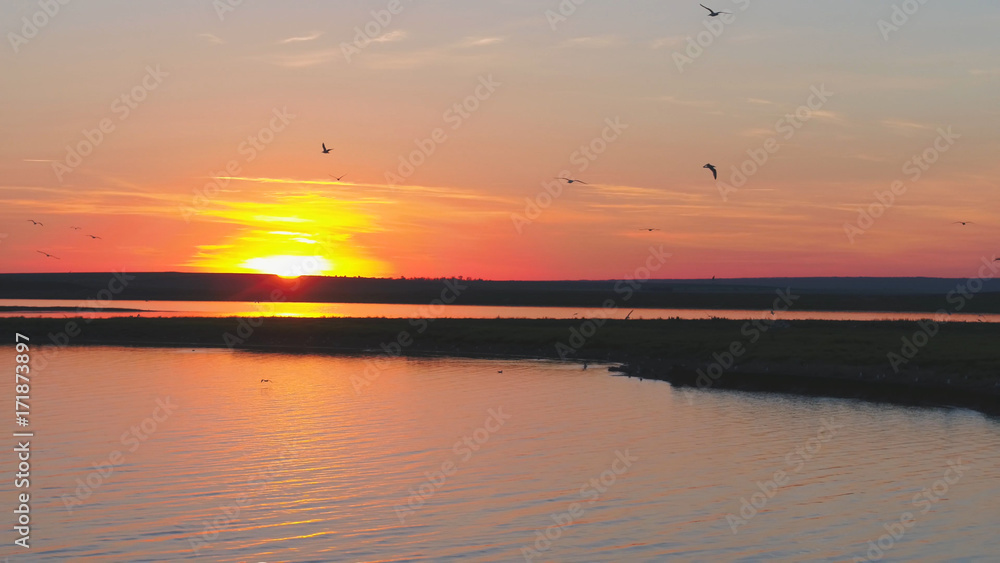 Seagulls bird fly above the river at sunset time. Birds fly at sunset. Sunset on the river, aerial