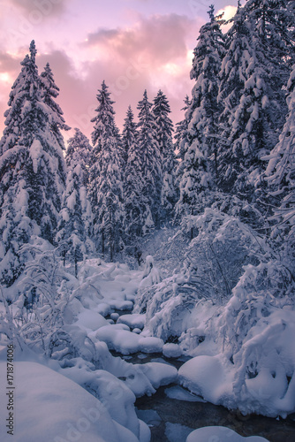 Beautiful winter landscape