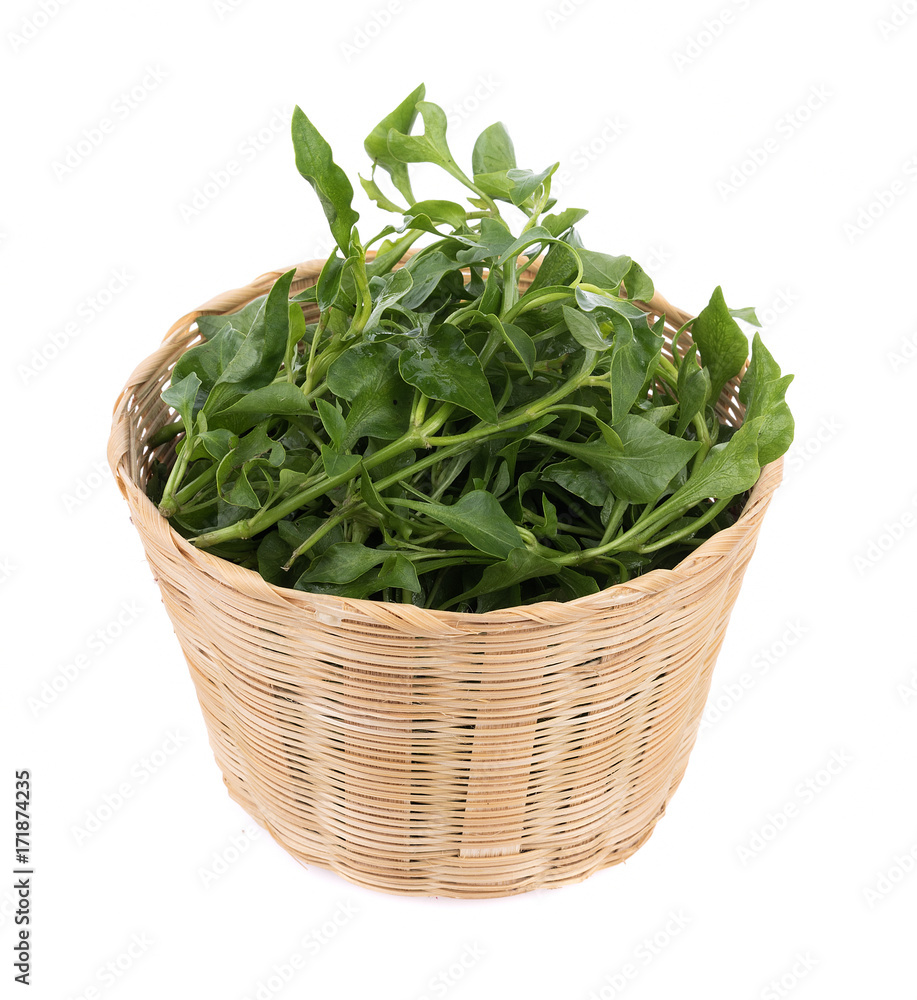 Fresh Watercress isolated on white background Fresh Watercress isolated on white background