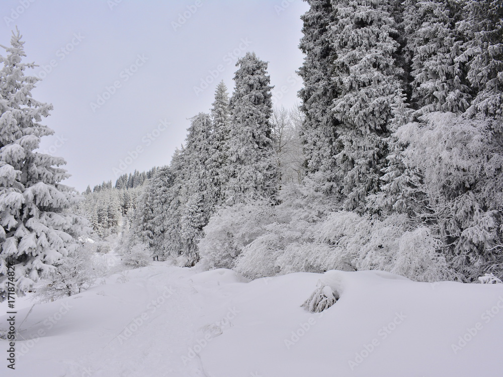 Christmas weather, in the mountains Christmas weather, in the mountains