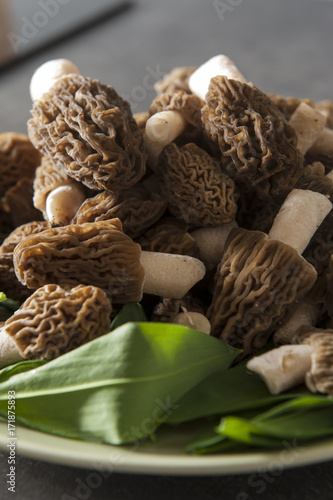 Naklejka morel
