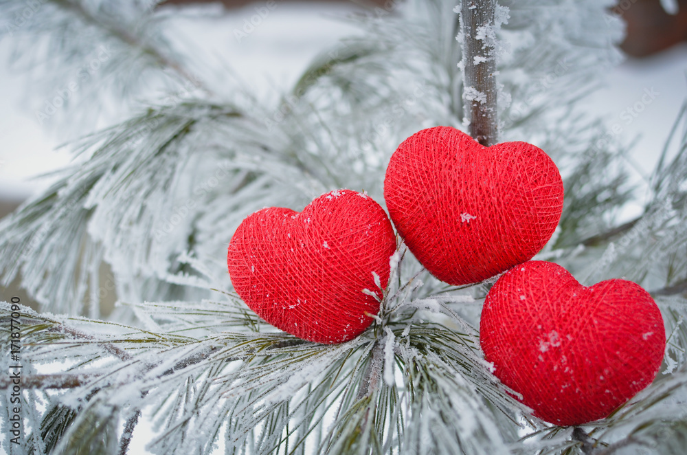 Red cotton hearts on the frozen fir tree branches, covered with snow. Valentine`s day background. Copy space