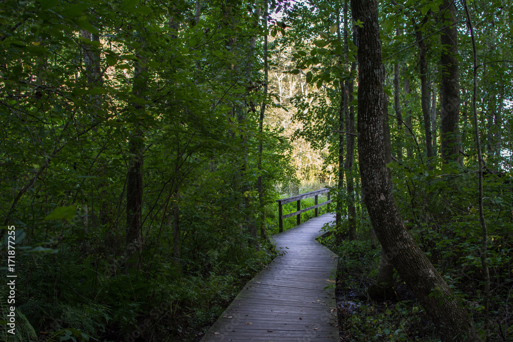 Low impact walkways for nature observations Low impact walkways for nature observations