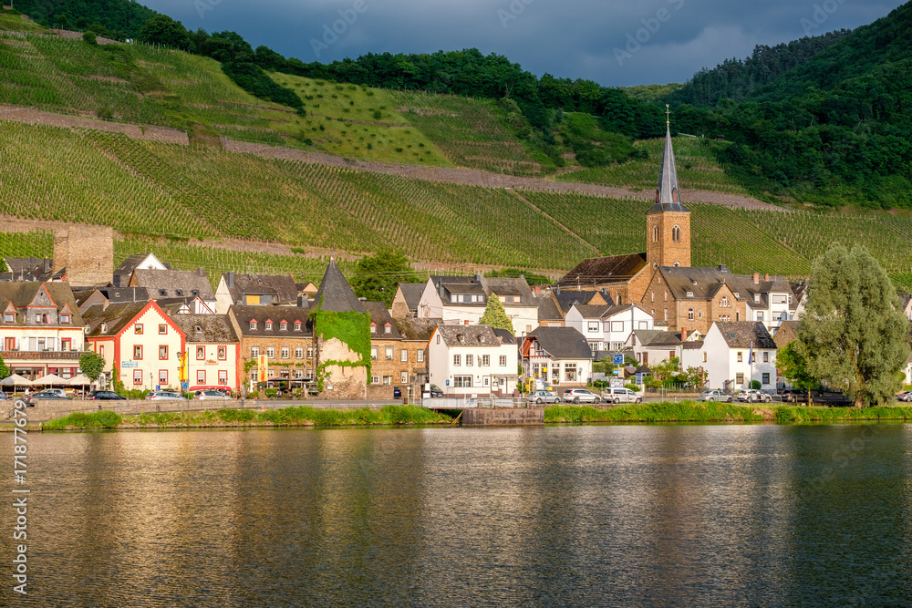 Vineyards above Moselle river and under dramatic sky near Alken, Germany