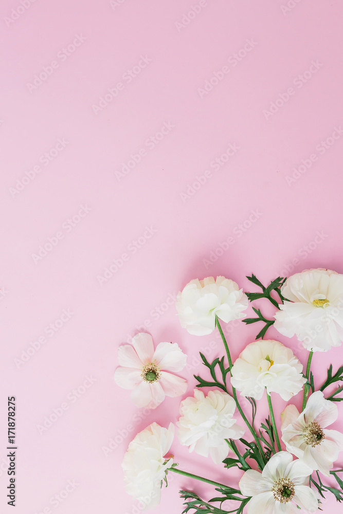 White flowers and leaves arrangement on pink background. Flat lay, top view. Flowers background.