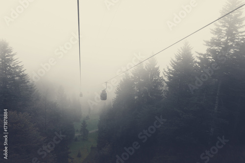 cable car above fir trees in the morning fog