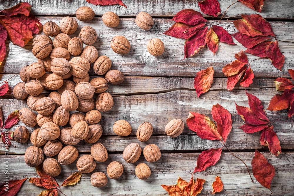 Overhead walnuts group in shell whith red yellow orange leaves on white rustic wooden table in studio Overhead walnuts group in shell whith red yellow orange leaves on white rustic wooden table in studio