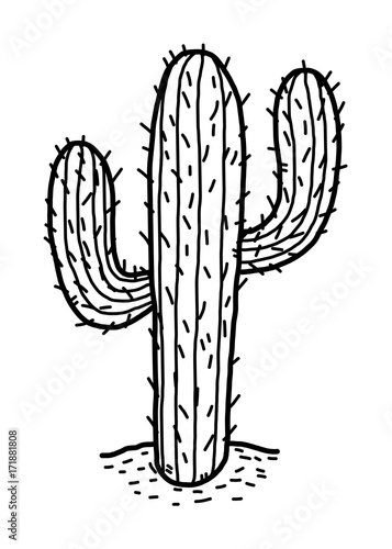 cactus in desert / cartoon vector and illustration, black and white, hand drawn, sketch style, isolated on white background.