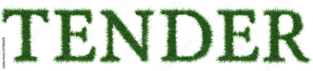 Tender - 3D rendering fresh Grass letters isolated on whhite background. Tender - 3D rendering fresh Grass letters isolated on whhite background.