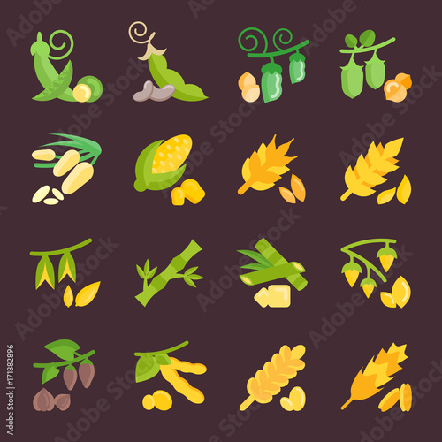 Set Vector Flat Icons of Beans and Cereals