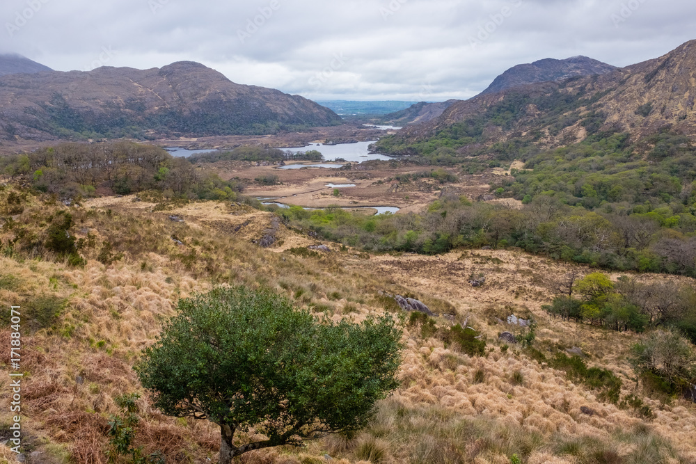 Fototapeta premium Irland