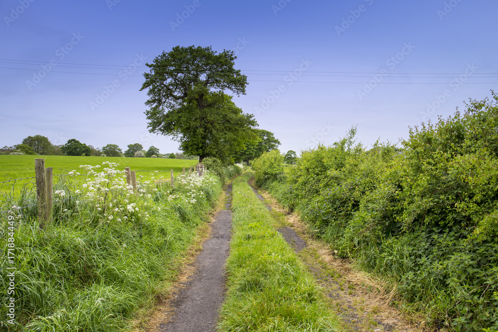 Countryside lane in Cheshire UK