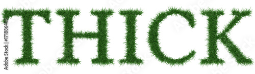 Thick - 3D rendering fresh Grass letters isolated on whhite background.
