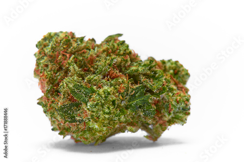 Close up of medical marijuana sativa strain Sour Diesel on white background