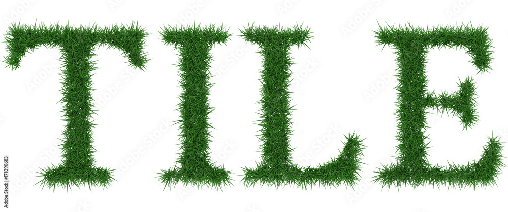 Tile - 3D rendering fresh Grass letters isolated on whhite background. Tile - 3D rendering fresh Grass letters isolated on whhite background.