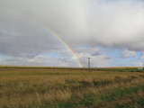 Rainbow over a field in Iceland