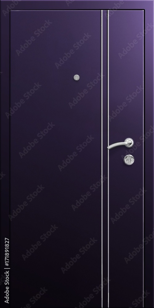 Obraz premium Entrance door (metal door)