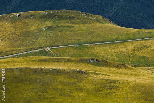 Road in the Bucegi Mountains
