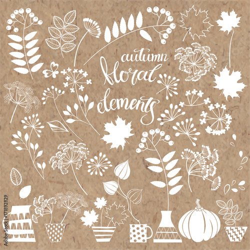 Hand-drawn autumn floral elements. Isolated vector objects on a kraft paper .