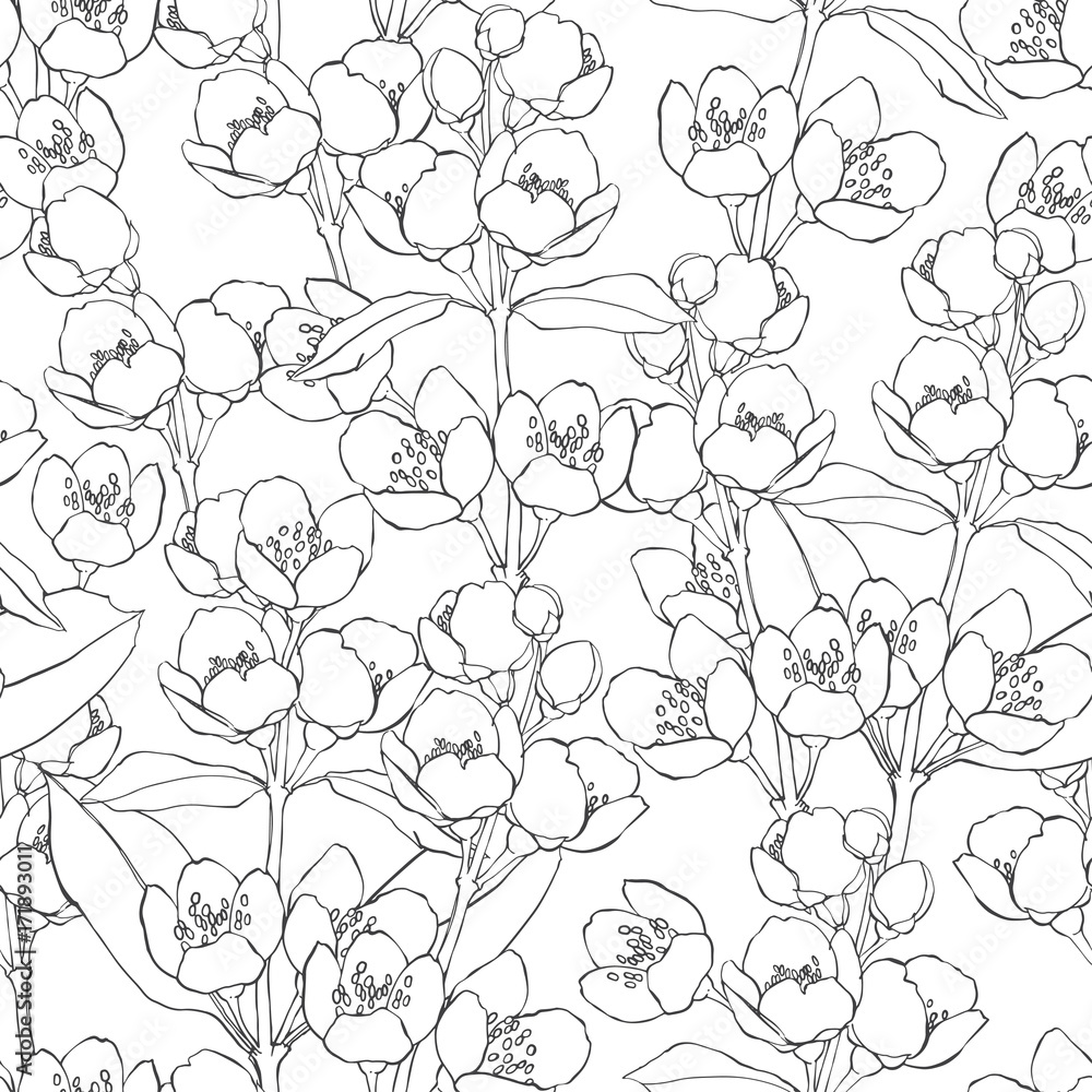 Seamless pattern with blossoming branches of jasmine on white background. Flowers jasmine. Vector illustration.