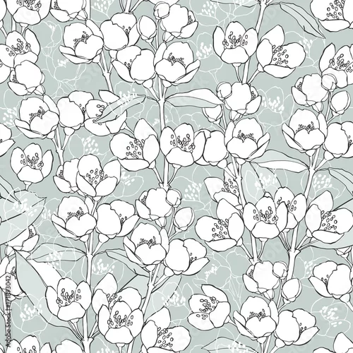 Tapety Wzór z kwitnących gałęzi jaśminu. Ilustracji wektorowych.