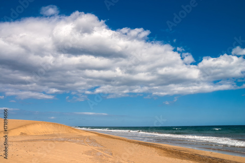 Sandy beach with sand dunes in Maspalomas  Gran Canaria  Canary islands  Spain.