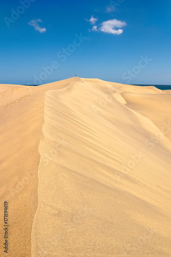 Maspalomas sand dunes in Gran Canaria  Canary islands  Spain.