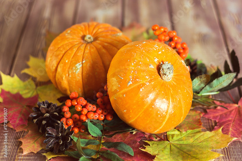 pumpkin composition on a wooden table, autumn mood