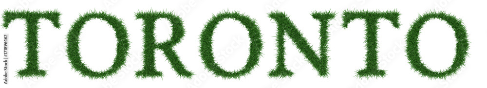 Toronto - 3D rendering fresh Grass letters isolated on whhite background. Toronto - 3D rendering fresh Grass letters isolated on whhite background.