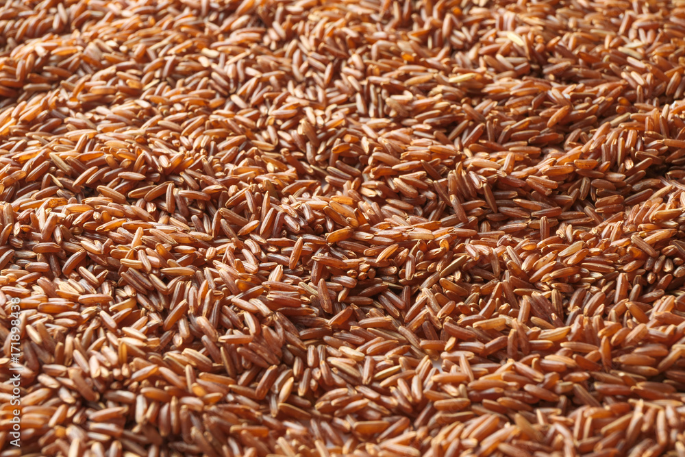 Raw red rice, closeup
