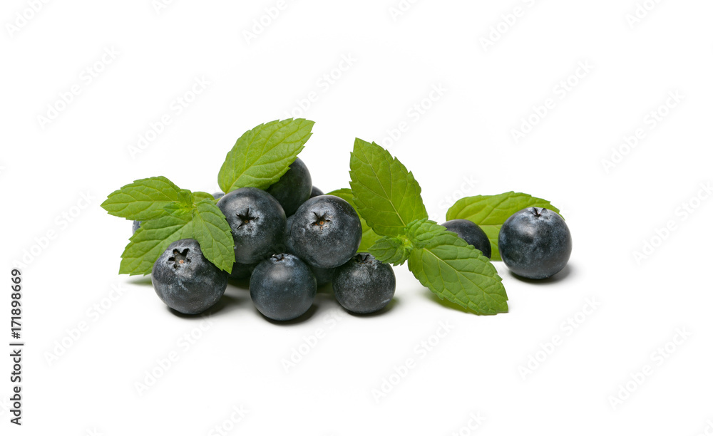 pile of delicious blueberries on white background pile of delicious blueberries on white background