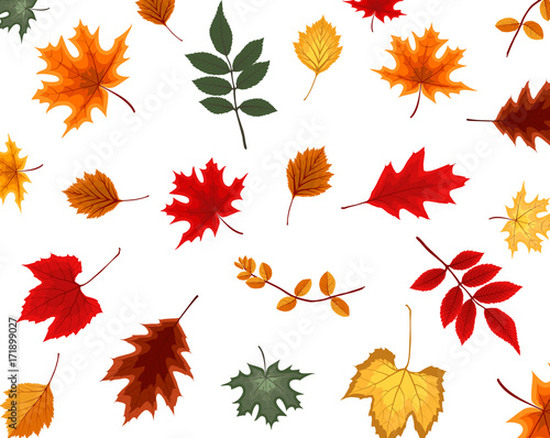 Abstract Vector Illustration Background with Falling Autumn Leav