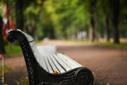 скамейка в парке осенью 