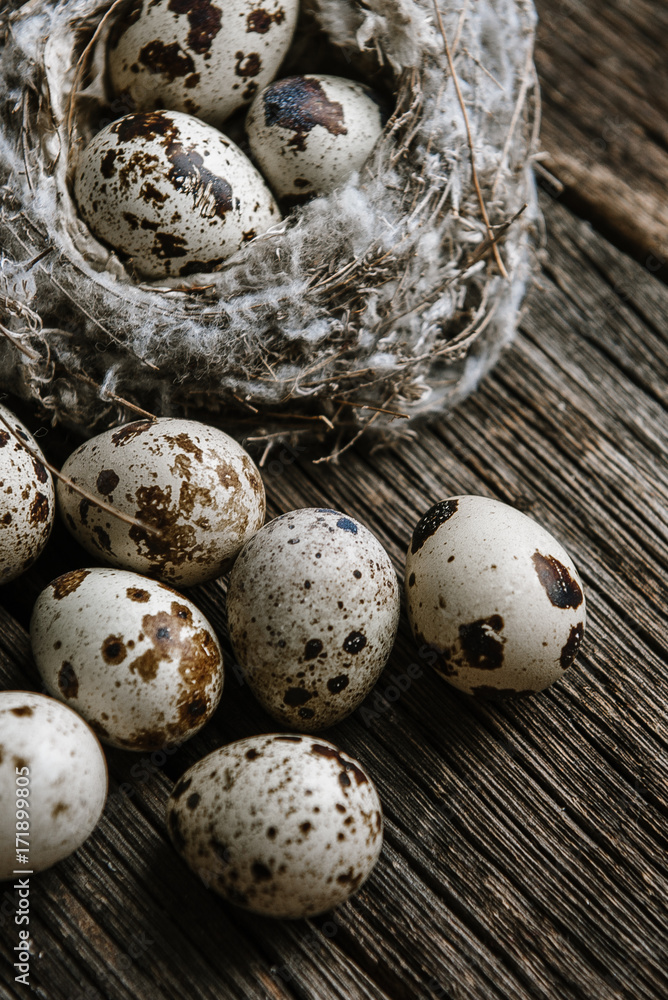 Quail eggs in a nest on a wooden background