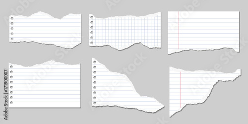 Set of Vector Illustrations of torn pages of notebook paper lined and square