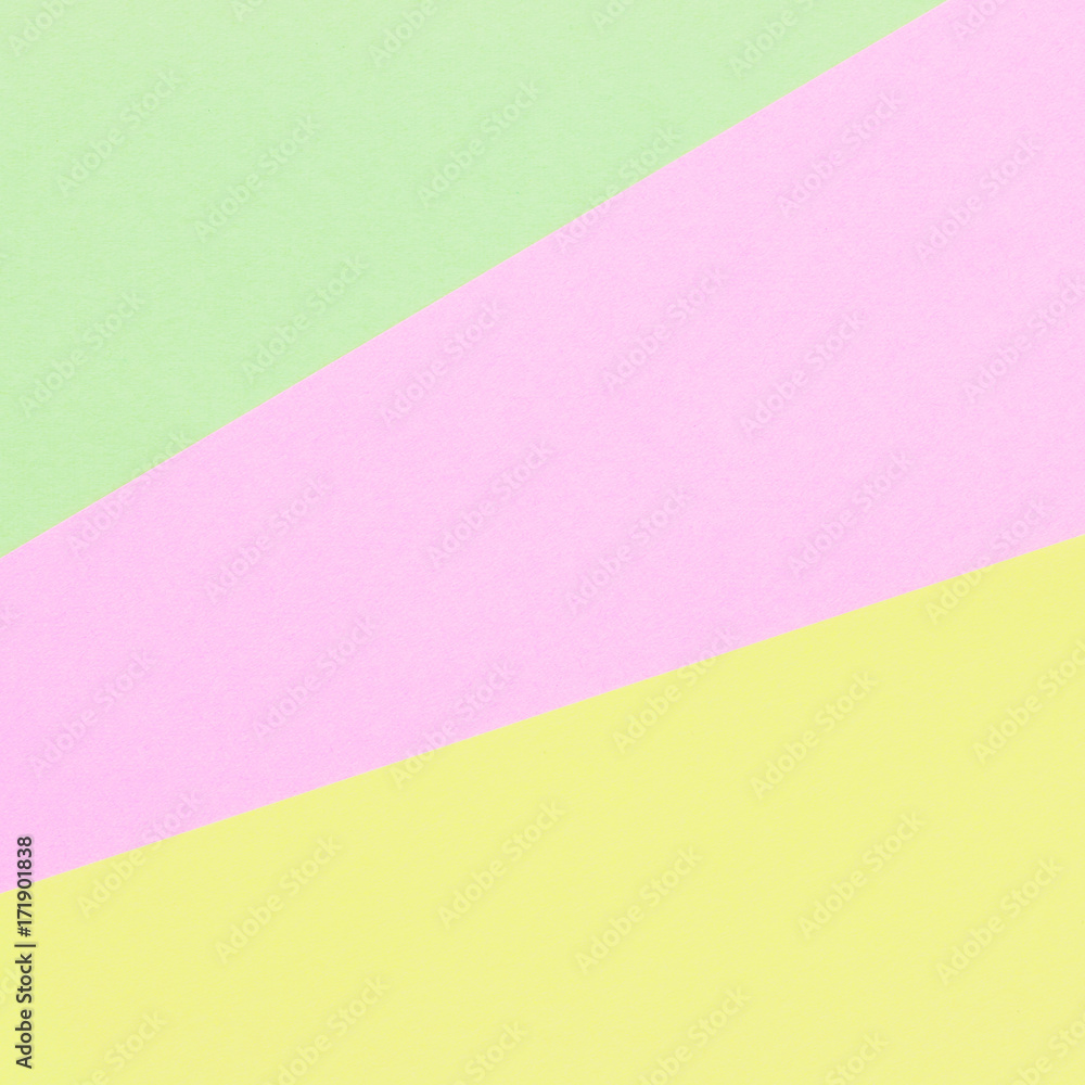 Color papers geometry flat composition background with pastel tones