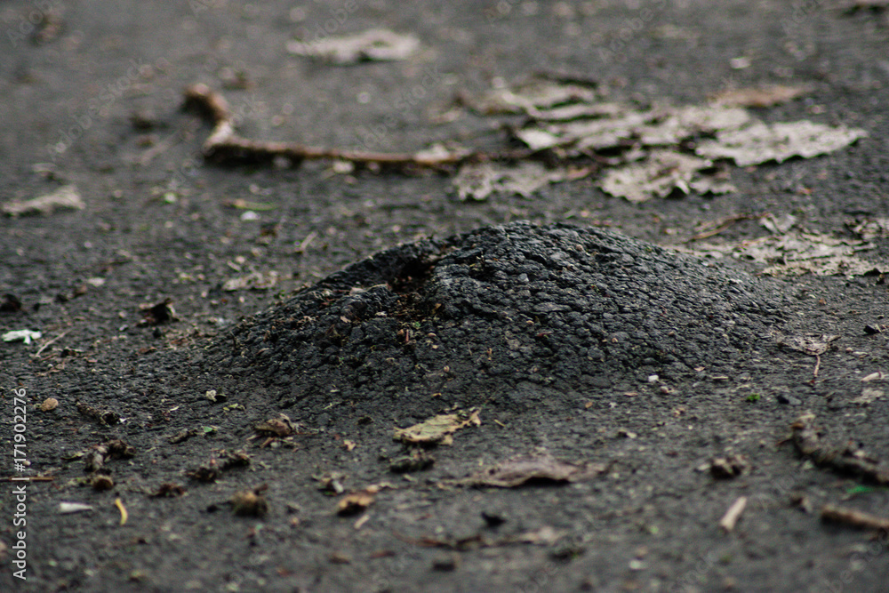 Broken road Broken road