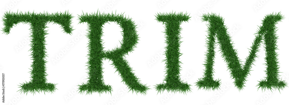 Trim - 3D rendering fresh Grass letters isolated on whhite background. Trim - 3D rendering fresh Grass letters isolated on whhite background.