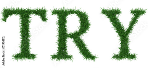 Try - 3D rendering fresh Grass letters isolated on whhite background.