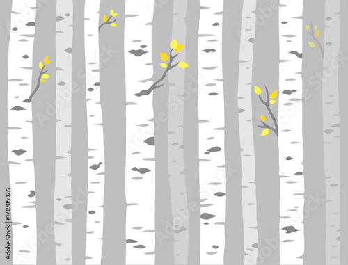 Fotótapéta Aspen tree pattern