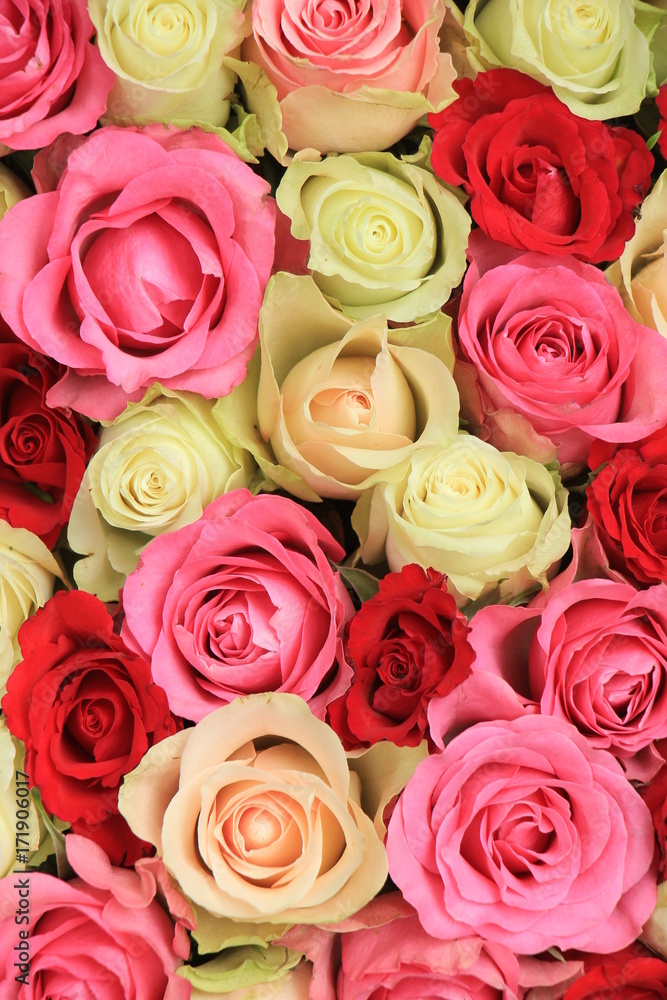 pink mixed wedding roses pink mixed wedding roses