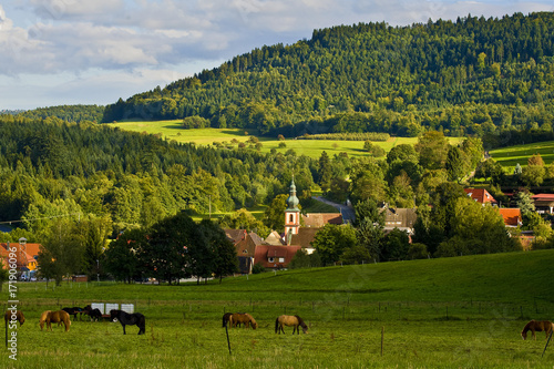 Black Forest Scenery