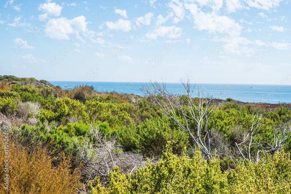 Obraz premium Beautiful Newport Beach, Southern California 