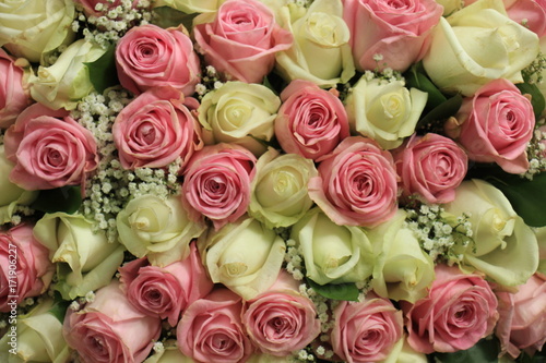 Pink and white wedding roses